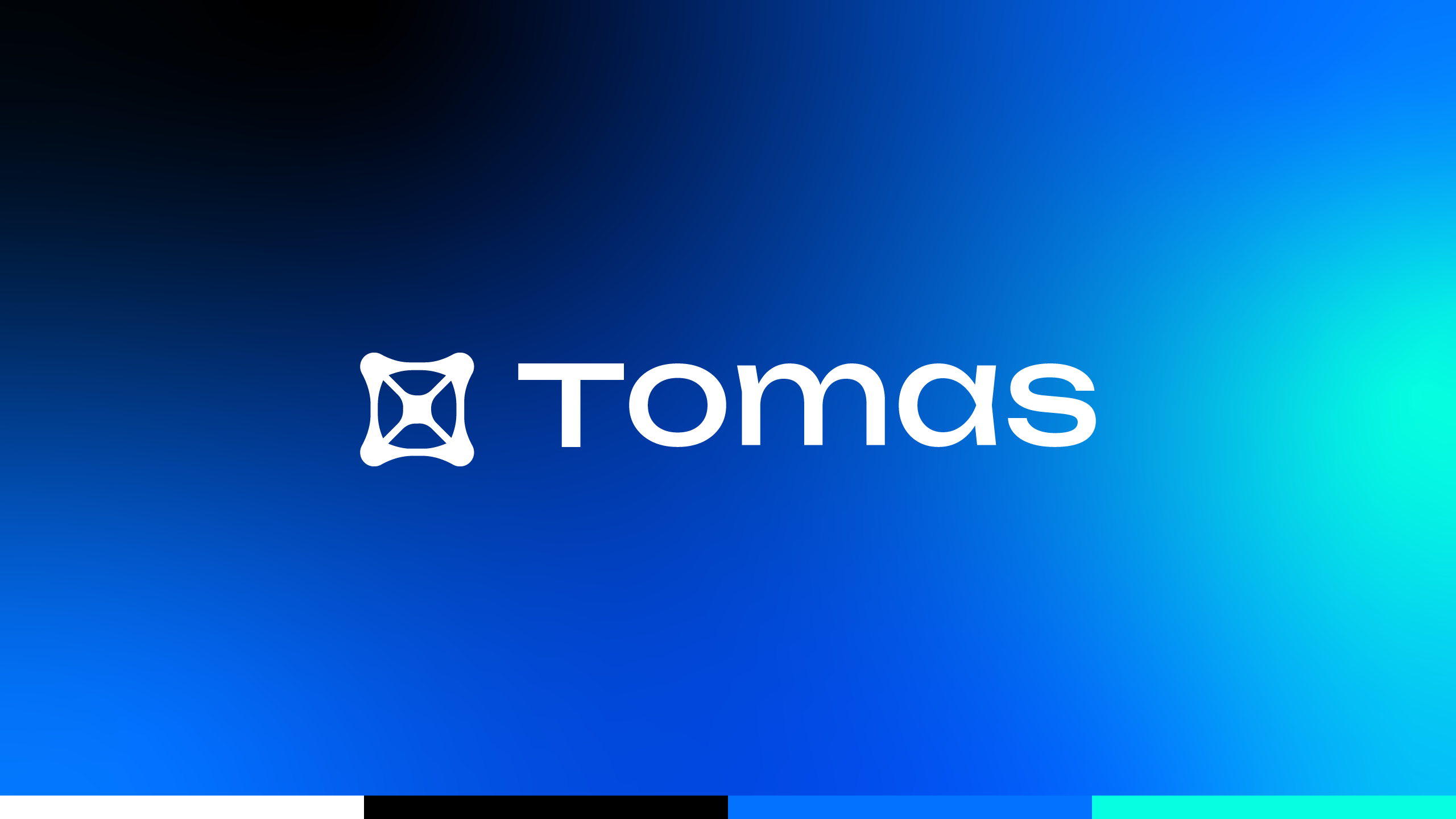 Tomas Finance Branding And Visual Identity Logo